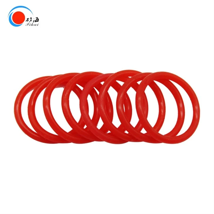 Sealing ring (1)